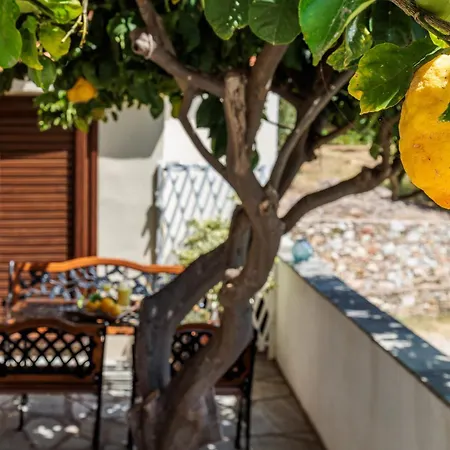 Lemon Casa *